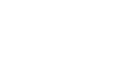 Lewis Engineering