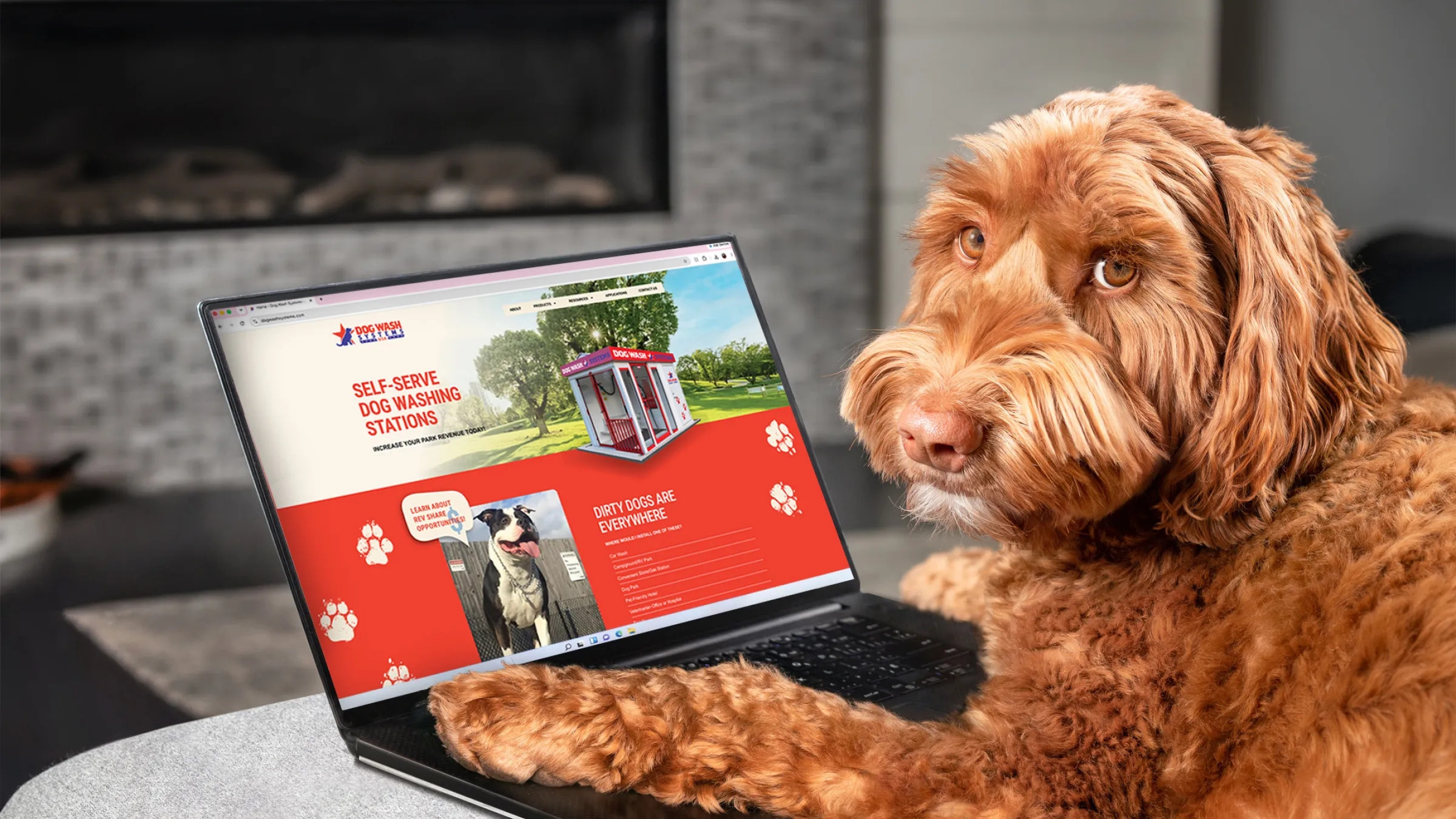 Dogwash Systems USA Website Design by Cain & Company