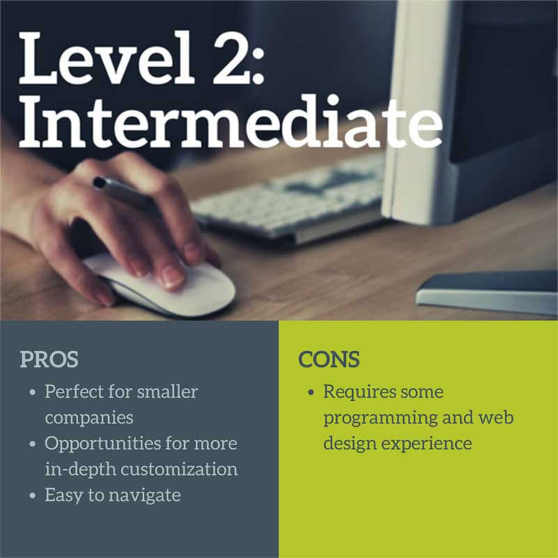 Level 2 website developement tools